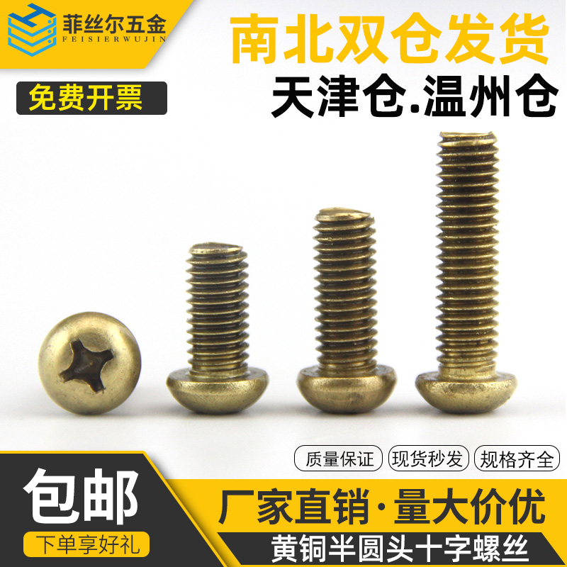 Brass half-round screw screw brass round head cross recessed screw copper pan head cross copper element machine nail (M6)