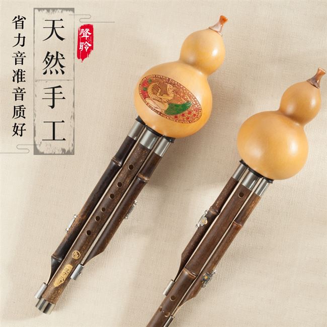 Musical instrument Beginners Hulusi Hulusi professional playing type C-flat B-key elementary school students childrens gift box book
