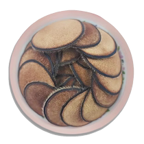 Deer antler fragments deer antler fragments sika deer soaked in wine antler powder white powder slices yellow powder slices dried antler slices soaked in wine