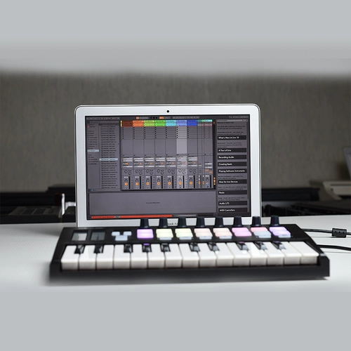 Worlde-Pandamini25 Key Midi-клавиатура для удара по Pad Music Аранжировка клавишной электро-музыки контроллер флейты