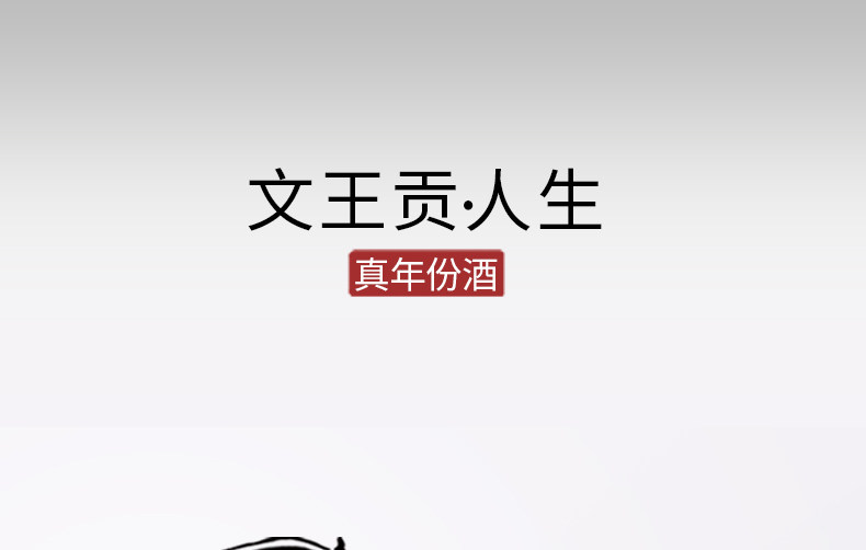 安享好物 安享A级白酒-文王贡人生 而立白酒 团标 