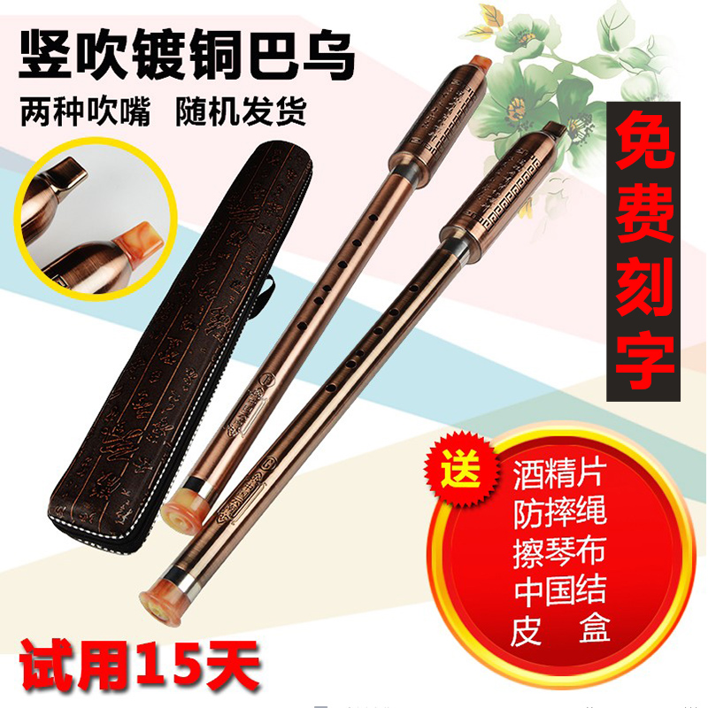 Dream Jiangnan Ancient Bronze Bau Vertical Blow Students Children Adult Beginners Practice Playing F Tune Tune Bau Musical Instruments