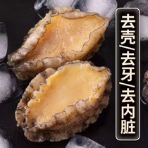 Fresh abalone meat live abalone freshly peeled pure meat teeth removed shell removed viscera removed vacuum packed 500g 1 pack