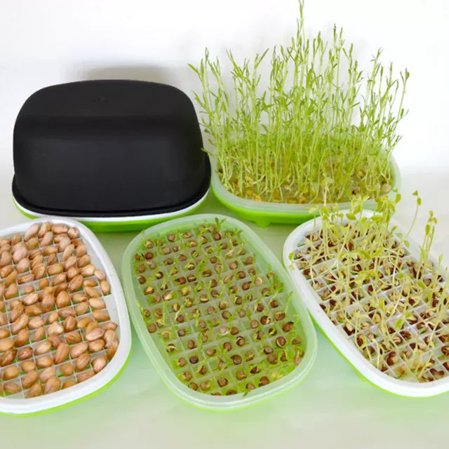 [Hydroponic Bean Peanut Sprout Box Nursery Pot Pea Cat Grass]