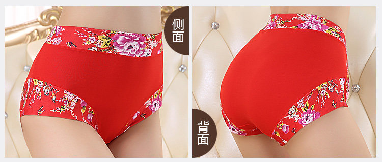 Slip Moyen-âge shushi-01 en coton - Ref 640691 Image 22