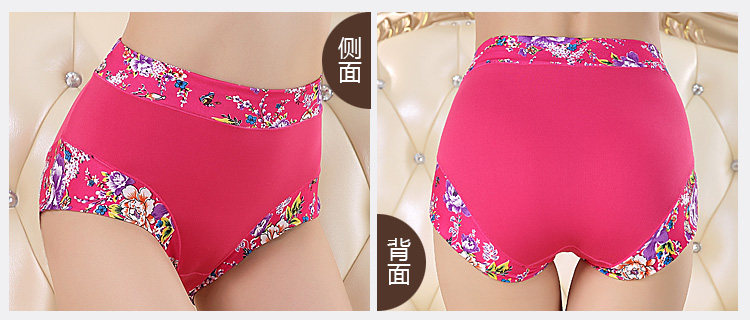 Slip Moyen-âge shushi-01 en coton - Ref 640691 Image 20