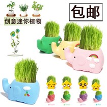 diy mini desktop little grass head doll cartoon plant radiation protection cute baby elephant