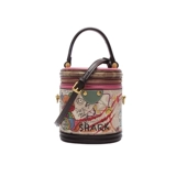 Гонконг Чали и Колср подлинный кожаный цвет цвет маленький мешок с цилиндром 2025 Новая модная рука