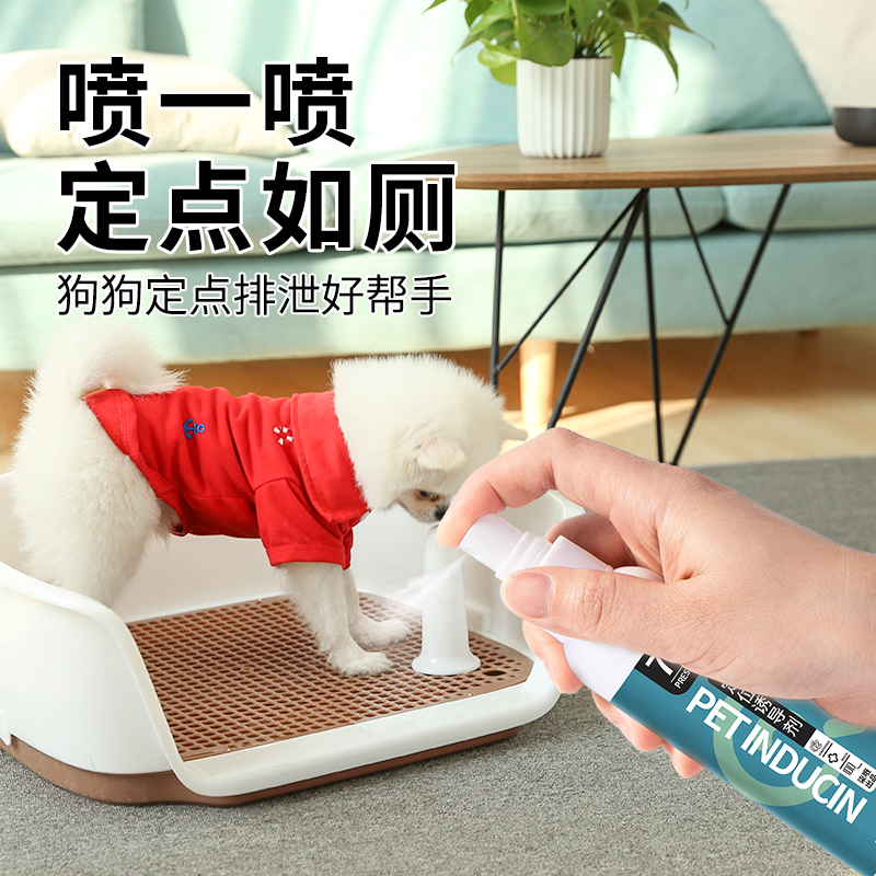 Prevention of puppies' messy urinals on the toilet inducing pet defecation Defecation Inducing Agents Anti-dog Urine Theologie