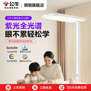 Bull Little Clear Sky Street Lamp Children's Learning Reading Special Desk Lamp Full Spectrum Standing Floor Eye Protection Lamp Piano