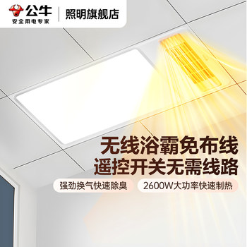 Bull Wireless Bathroom Heater, No Wiring Required, Integrated Lighting and Exhaust Fan, Wireless Remote Control, Integrated Ceiling Light for Bathroom