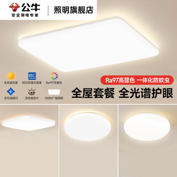 Bull Living Room Light Fixtures Whole House 2025 New Model Living Room Ceiling Light Full Spectrum Lighting Collection Living Room Main Light