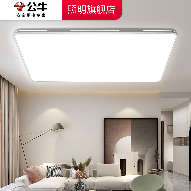 Bull Flag Ship Store Full Spectrum Living Room Light Lighting Modern Minima Atmospheric Suction Top Lamp Combined Full House Package-Taobao