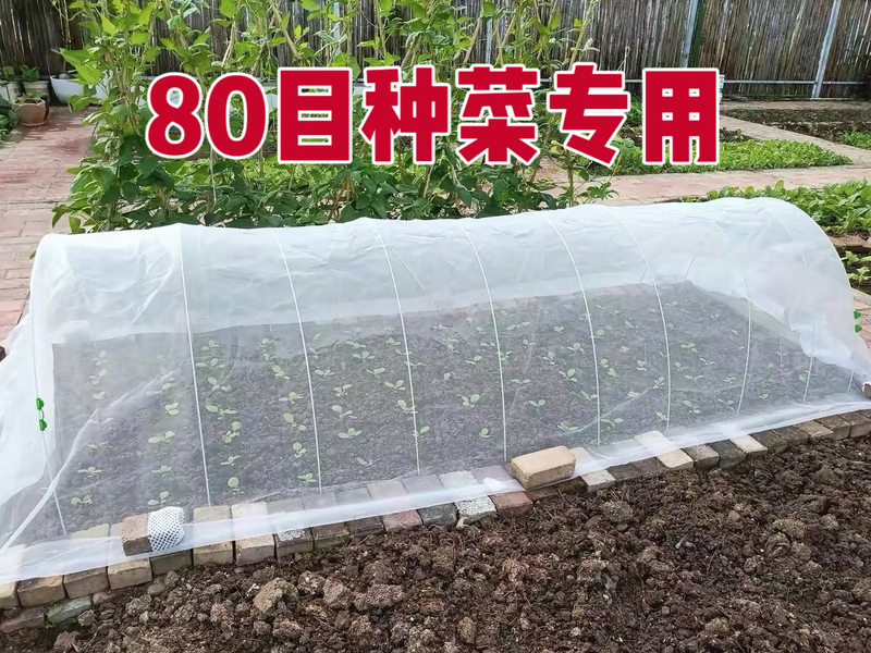 80-Mesh Encrypted Thickened Insect-Proof and Bird-Proof Net for Growing Vegetables, Made from New Material, Anti-Aging, and Reusable
