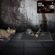 Super-strong sticky mouse plate ultra-powerful rat stickler with physical drive mouse killer plus big plus stick for home mousetrap 
