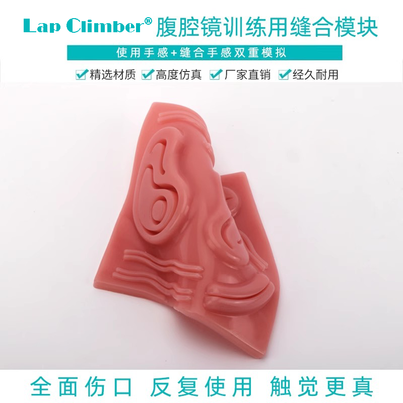 Laparoscopic Surgery Simulation Training 3D Suture Module Surgical Gynecology Training Aids Suture Simulation Practice