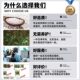New Chinese-Style Artificial Bamboo Landscape Decoration, Indoor Soft Furnishings, Green Plant Partition Screen, Dense Fake Bamboo with a Zen Vibe