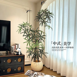 Peacock Wood Artificial Green Plant Classy Accessible Luxury Living Room Bionic Fake Plant Indoor Large Floor-standing Potted Plant Decoration Ornaments