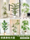 Clearance Sale of High-End Luxury Artificial Green Plants, Large Decorative Ornaments for Living Rooms, High-Quality Realistic Indoor Floor-Standing Fake Trees