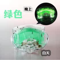 Ant Workshop Villa Ant Home Living Students Specify Ant Palace Double-floor House of Sand Dunes