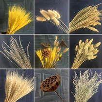 Decorated rabbit-tailed grass-grass-dried piece of flowery-flower garment shop Purple Reed Reed Barley and Cotton Art