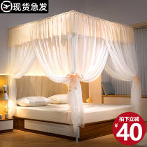 Floor mosquito nets Home bedrooms 2021 new upscale 2022 high-grade tatyas high-end palace veins thickened encryption