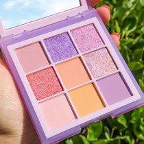 France Landish Nine Colors High Face Value Eye Shadow pink Pearlized Matt and waterproof beginner earth color