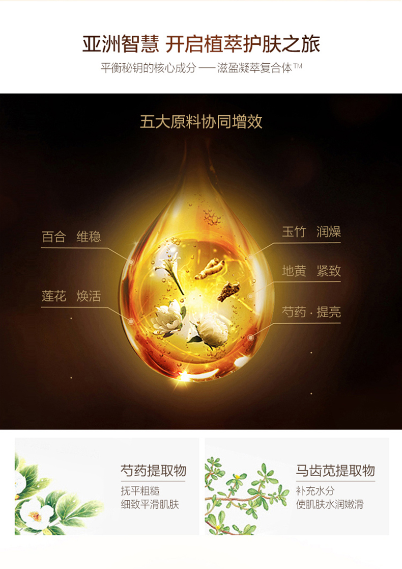 韩国进口 雪花秀 滋盈肌本润颜水乳护肤套装 图4
