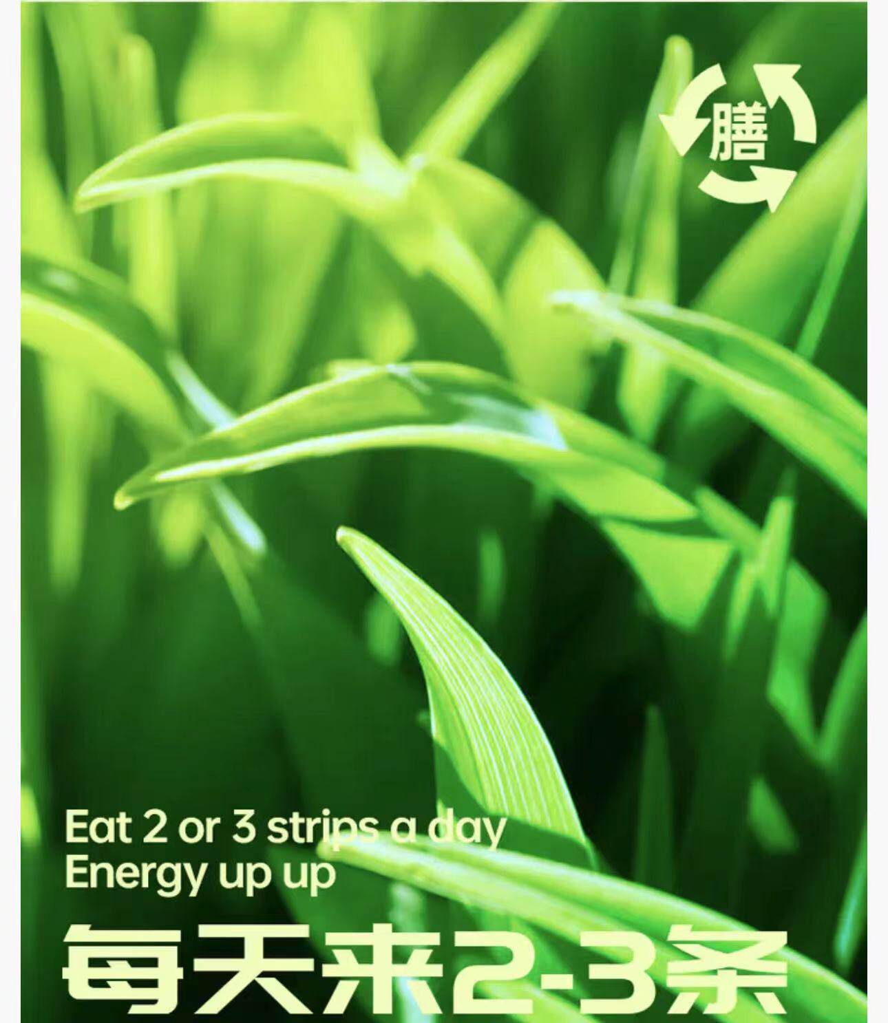 【中国直邮】 菌小宝【WONDERLAB万益蓝平替】 益生菌粉 膳食纤维 20g(2g*10)/盒  成人 儿童 中老年 孕妇 有助于维肠胃肠道菌功能