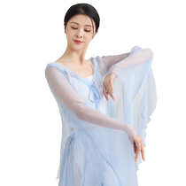 Dancer classical dance costume female elegant body rhyme gauze practice clothes Chinese dance white fox repertoire performance suit
