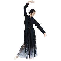 Dancer modern dance ink calligraphy pants practice clothes classical dance clothes female elegant new Chinese style shirt performance clothes