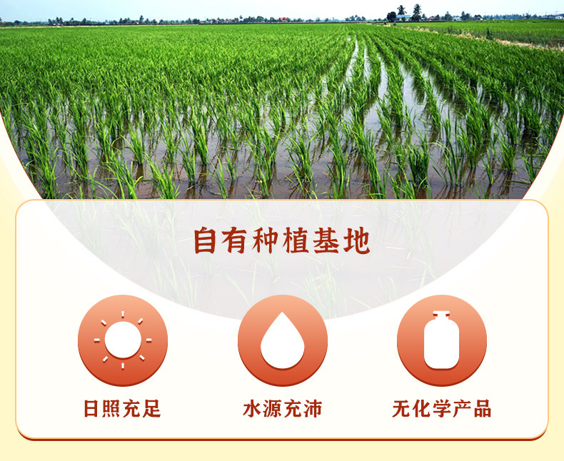 歡禾泰國(guó)香米