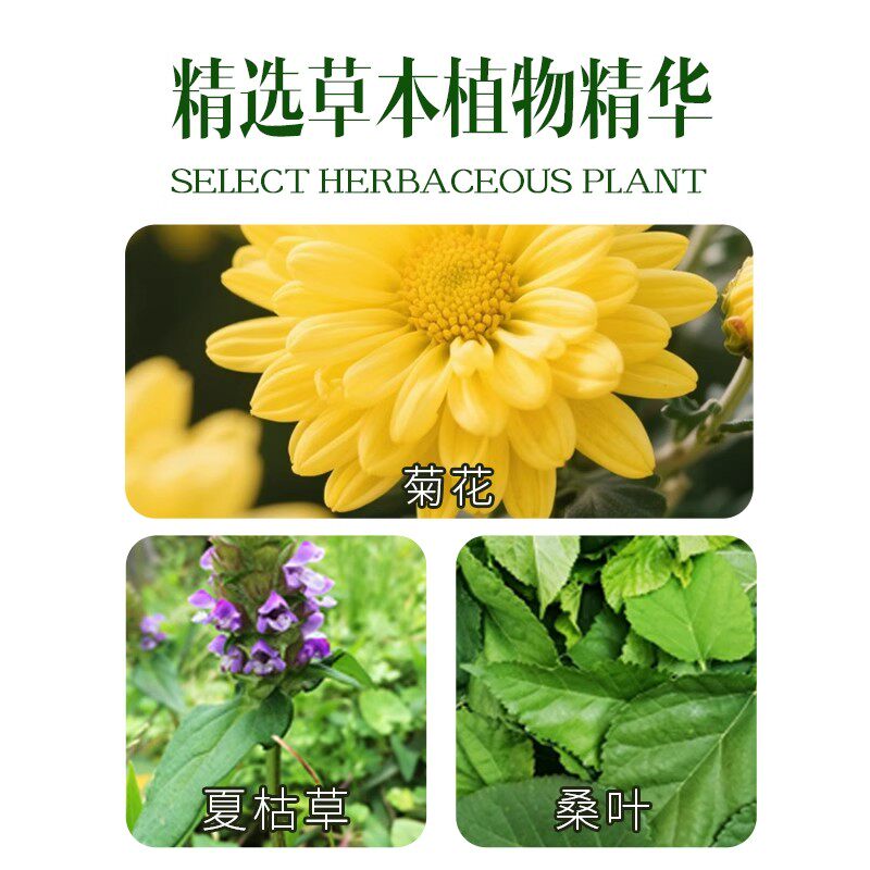 🔥999夏桑菊凉茶解暑清热必备饮品🌿-凉茶-淘宝好物网