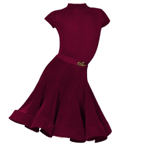 Dancer professional Latin dance competition uniform for girls 2024 summer short-sleeved ultra-thin velvet prescribed uniform standard competition uniform