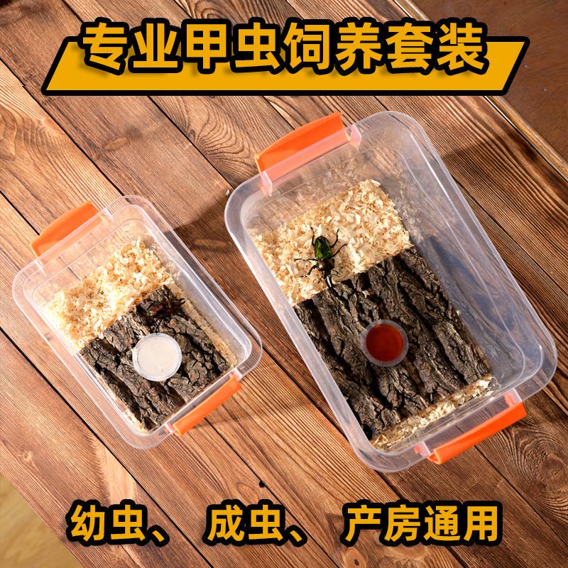 Beetle Breeding Box, Scarab Beetle, Breathable Maternity Room, Jelly Platform, Climbing Wood, Sphagnum Moss, Bark, Egg-Laying Wood Set