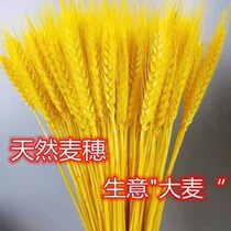 Gold Wheat Ears Opening Family Decoration Tricks and Flowers Bouquet Pendulum to open barley Flower Basket Garden Photography Props