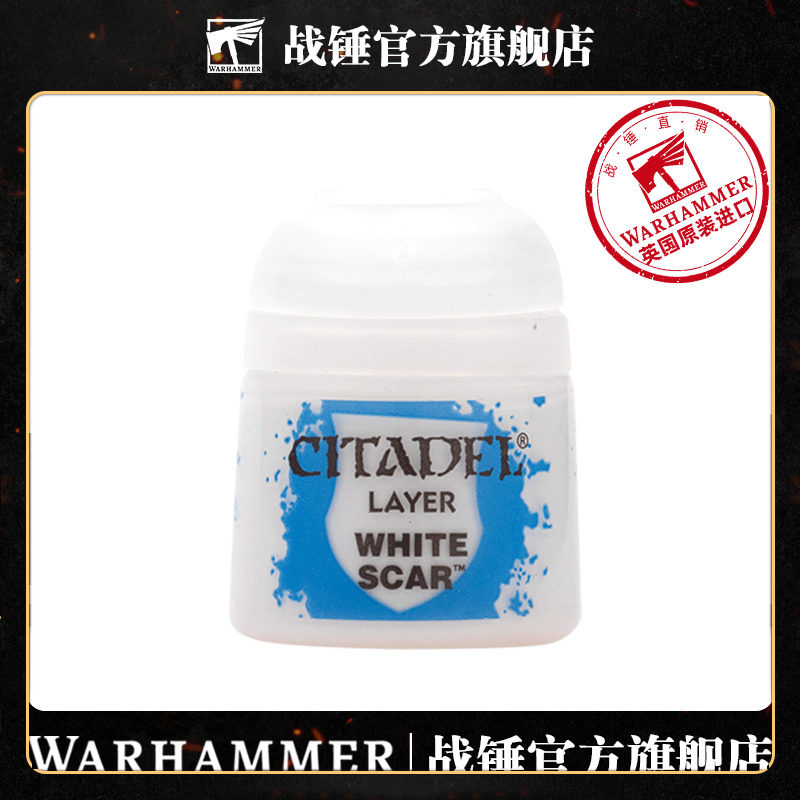 Warhammer CITADEL Pigment Topcoat Paint White Scar White 12ML CITADEL White Scar 12ML