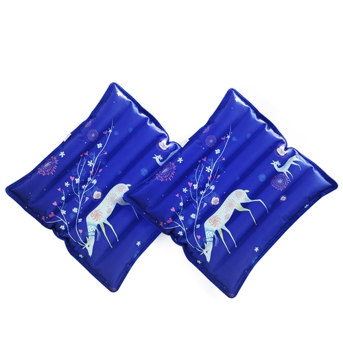 Ледяная площадка, сидящая сумка летние подушки сиденья, прохладное дом лето