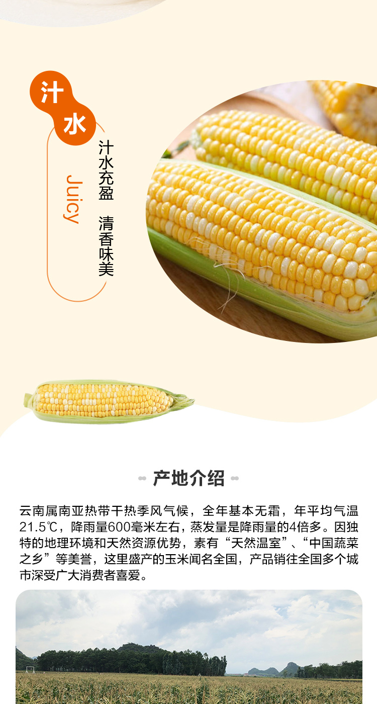 【盒马】云南水果玉米4只