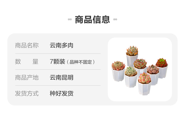 阿里自营品牌，云南直发：随机7盆 盒马 多肉植物盆栽 13.9元包邮 值值值-买手聚集的地方