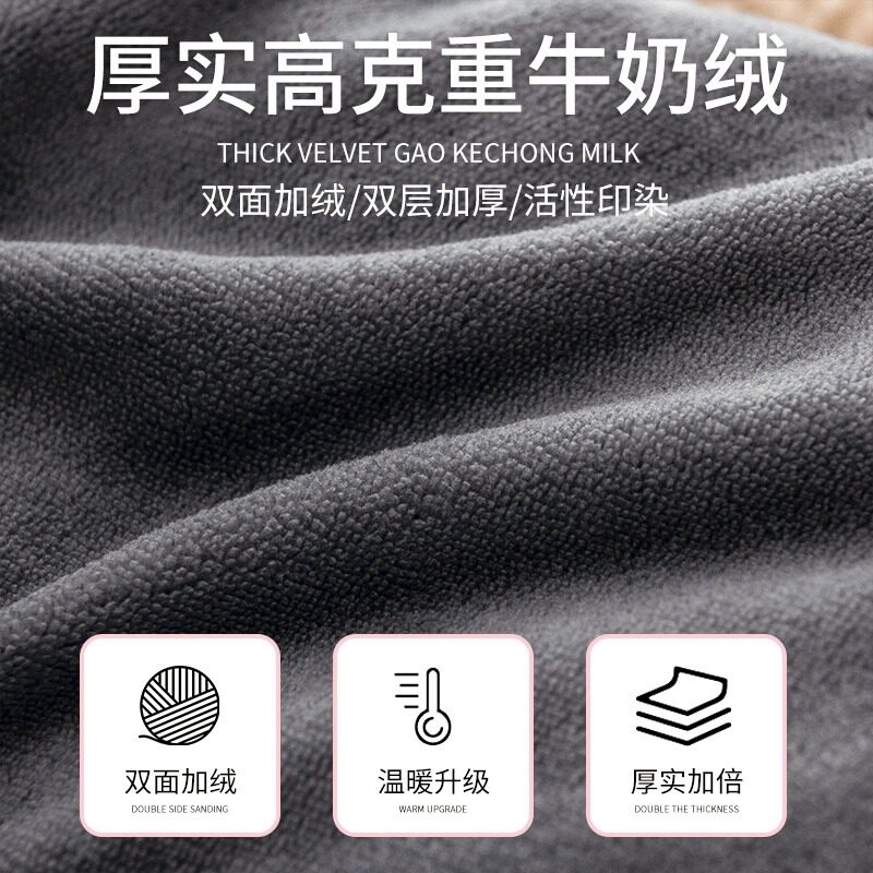 2025 Thickened Warm Milk Velvet Lamb Fleece Double-Sided Fleece Winter Quilt Core Spring and Autumn Quilt Winter Student Single Quilt