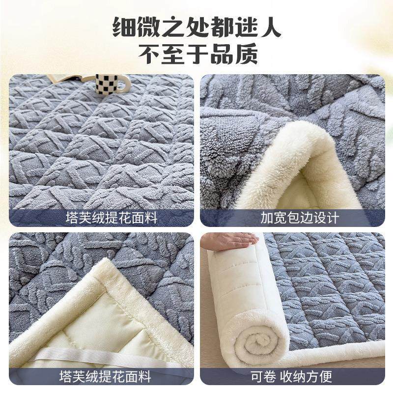 Winter Taffeta Milk Velvet Mattress Pad Soft Cushion for Dormitory Students Single Thickened Warm Blanket Pad Quilt