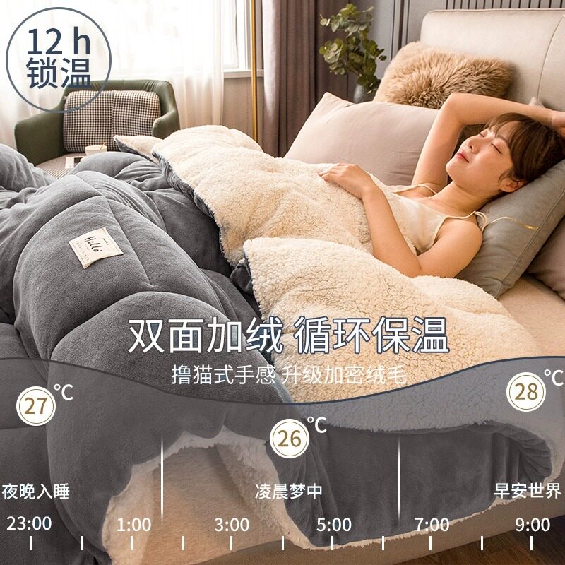 2025 Thickened Warm Milk Velvet Lamb Fleece Double-Sided Fleece Winter Quilt Core Spring and Autumn Quilt Winter Student Single Quilt