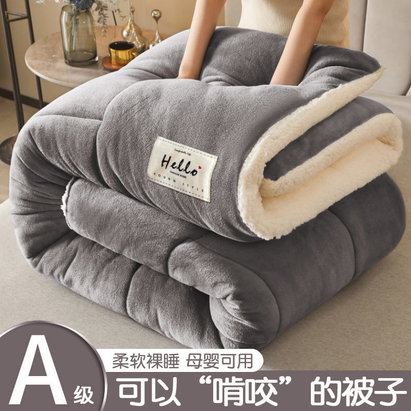 Winter Lamb Wool Quilt, Thickened Warm Cotton Quilt for Student Dormitory, Single Milk Velvet Quilt Core, Winter Fleece-Lined