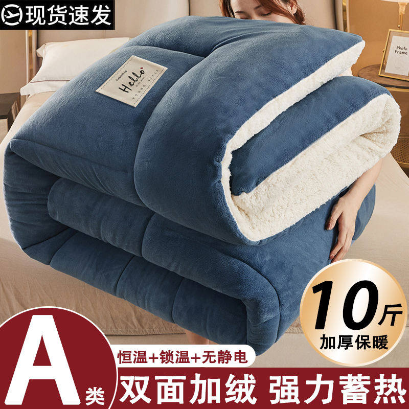 Lamb Wool Quilt, Cotton Quilt, Winter Quilt, Fleece-Lined and Thickened, Autumn and Winter Quilt Core, Warm Winter Quilt, 10 Pounds, 2024 New Model, Single-Person Quilt