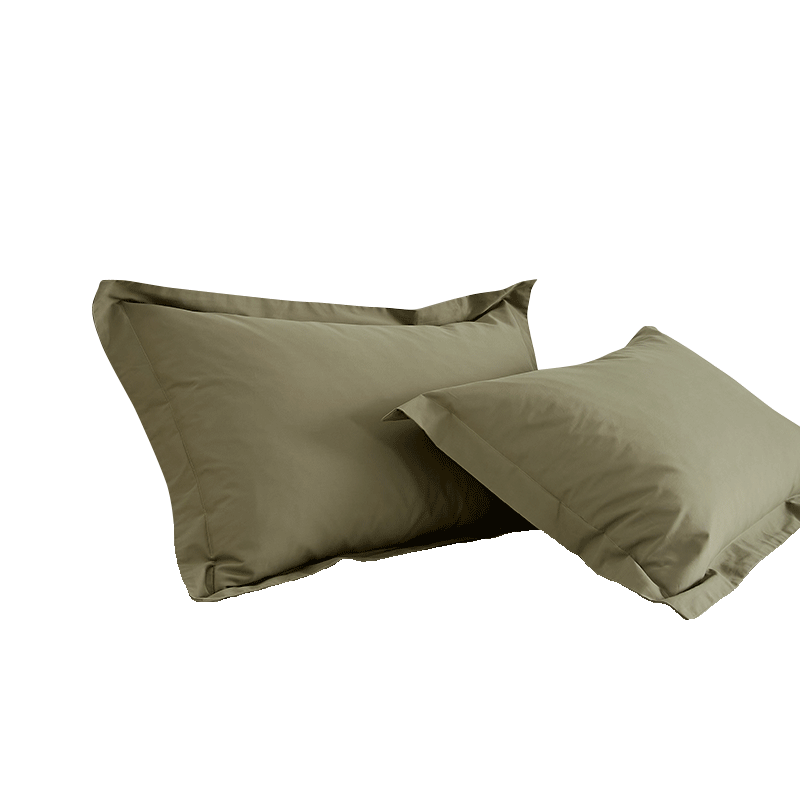 2025新款春秋枕头套纯棉长绒棉磨毛单人枕套2只一对装全棉枕头芯