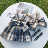 Клетчатая юбка, клетчатая крышка, домашняя собака и жилет кошачья тарелка