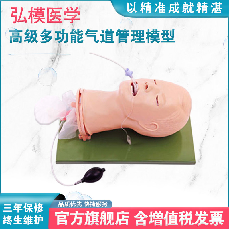 弘模 成人气管插管训练模型 气管插管示教模拟人急救培训练习模型教具 全功能气道管理模型 HOM/J51+