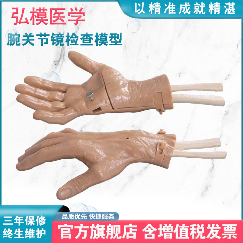 弘模HOM/LV66腕关节镜检查模型腕关节模型腕关节镜检查训练模型