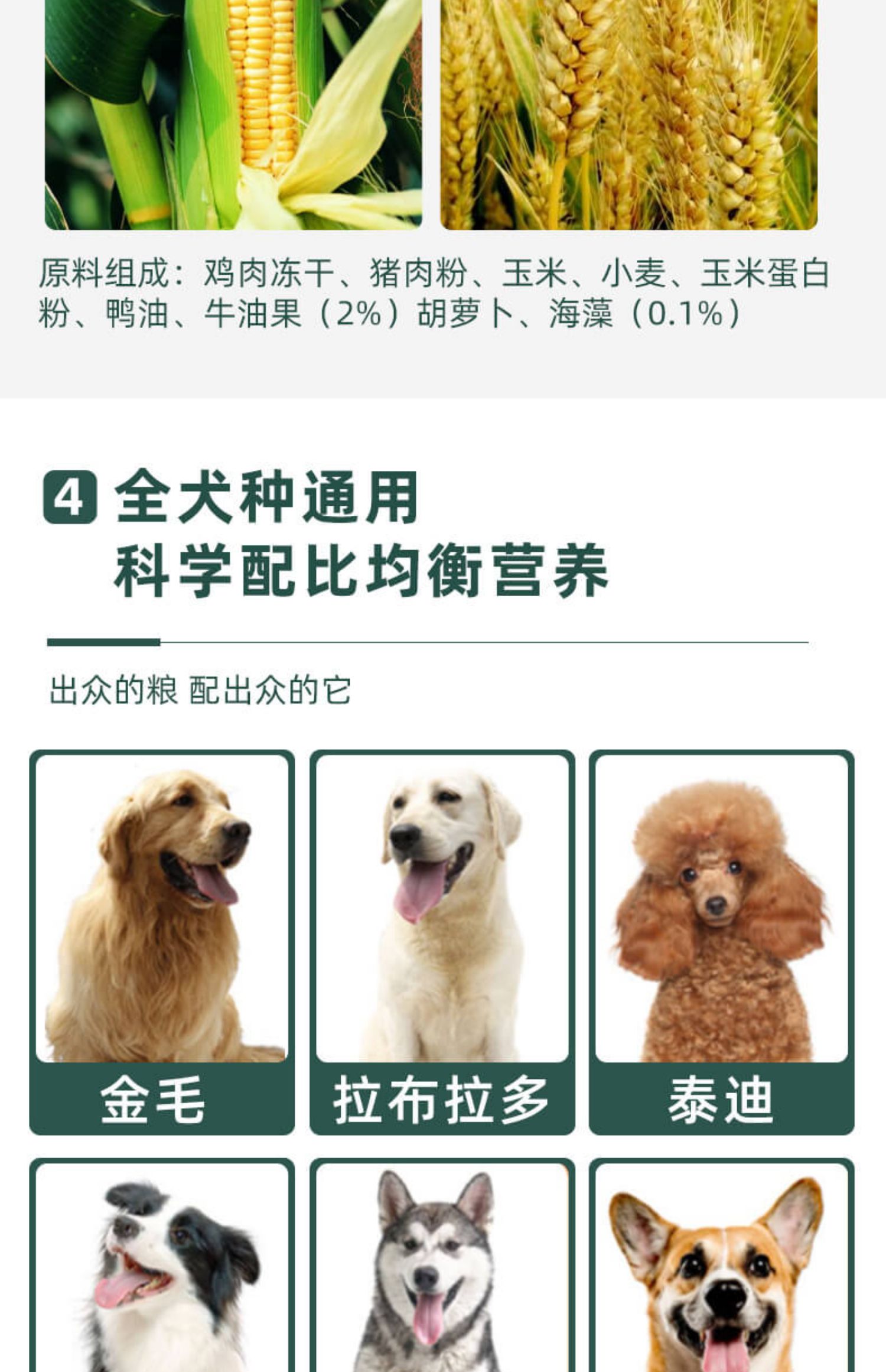 成犬小型犬泰迪贵宾金毛博美通用狗粮5斤